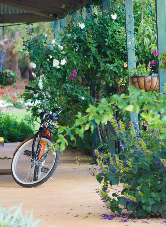 Freshwater Creek Cottages & Farm Stay Torquay Exterior foto